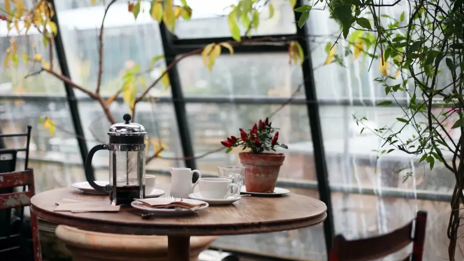 cozy things to do at home when raining