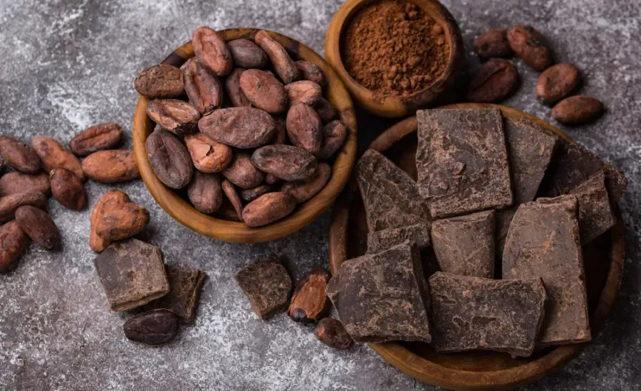 dates and dark chocolate and cocoa