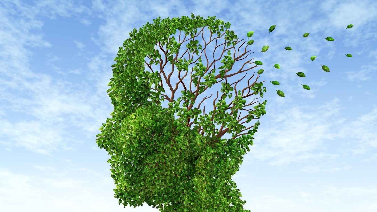 How to boost your memory