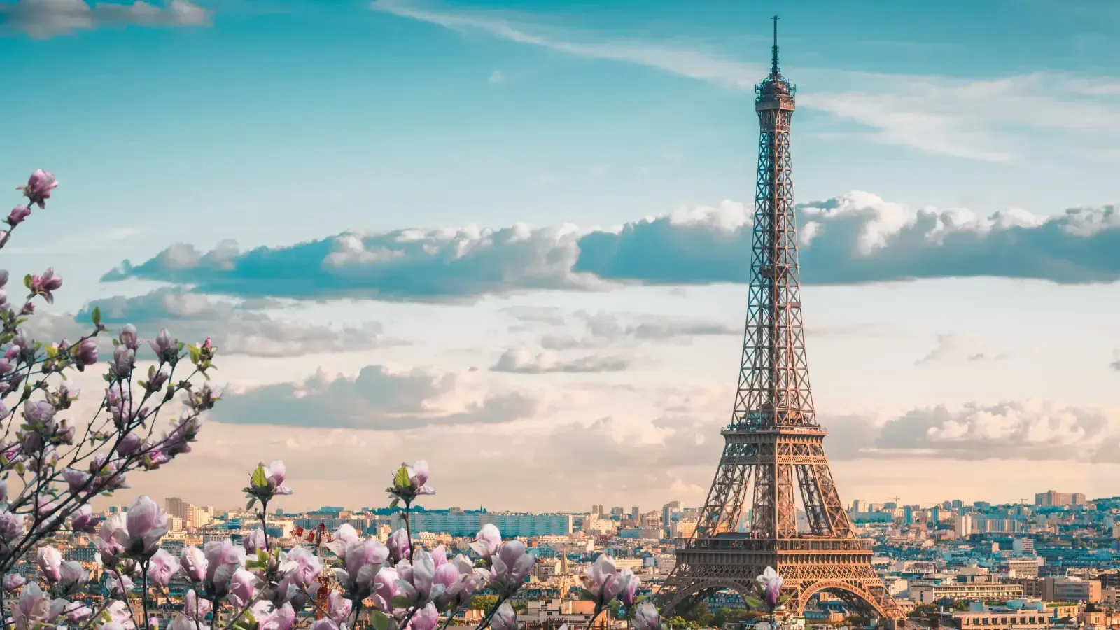 tour eiffel for french cinema