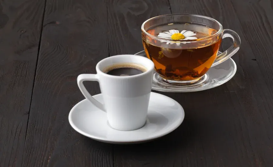 boost-your-metabolism-with-these-10-foods