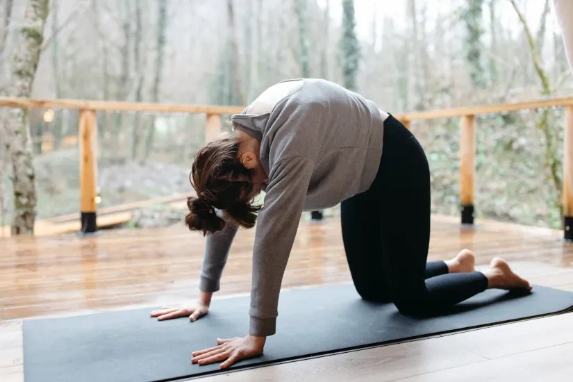 cat cow yoga pose.webp