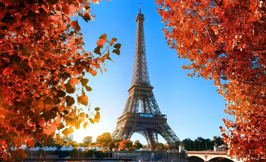 paris eiffel tower sun and flowers