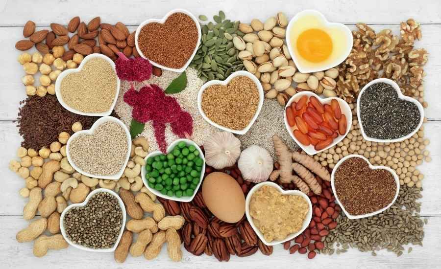 high protein diet