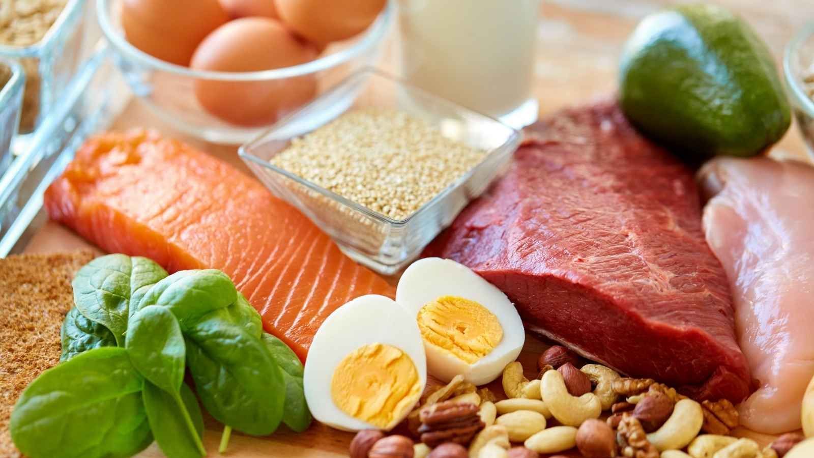 high protein diet