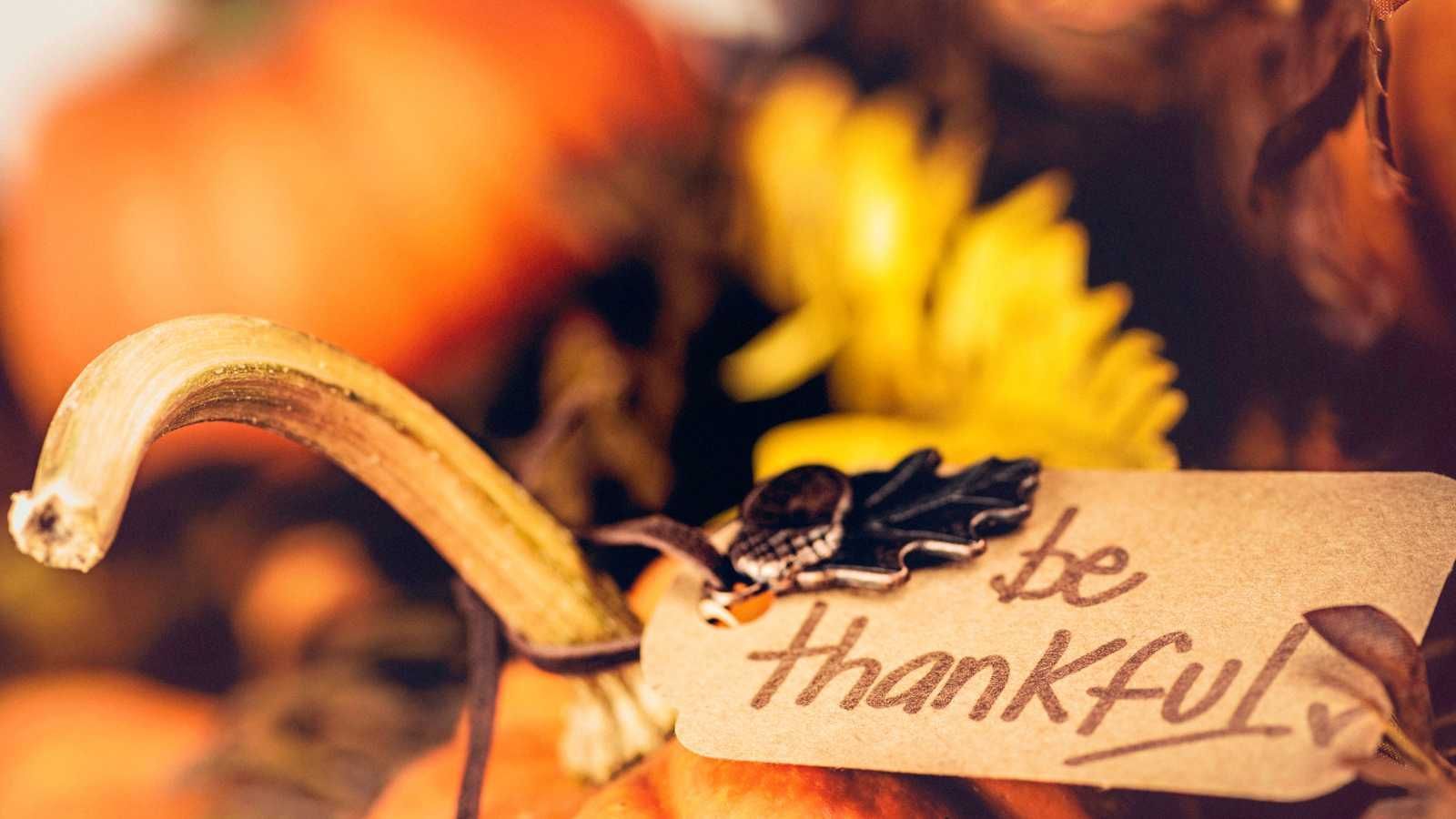 Why Gratitude Is a Discipline, Not a Wellness Trend