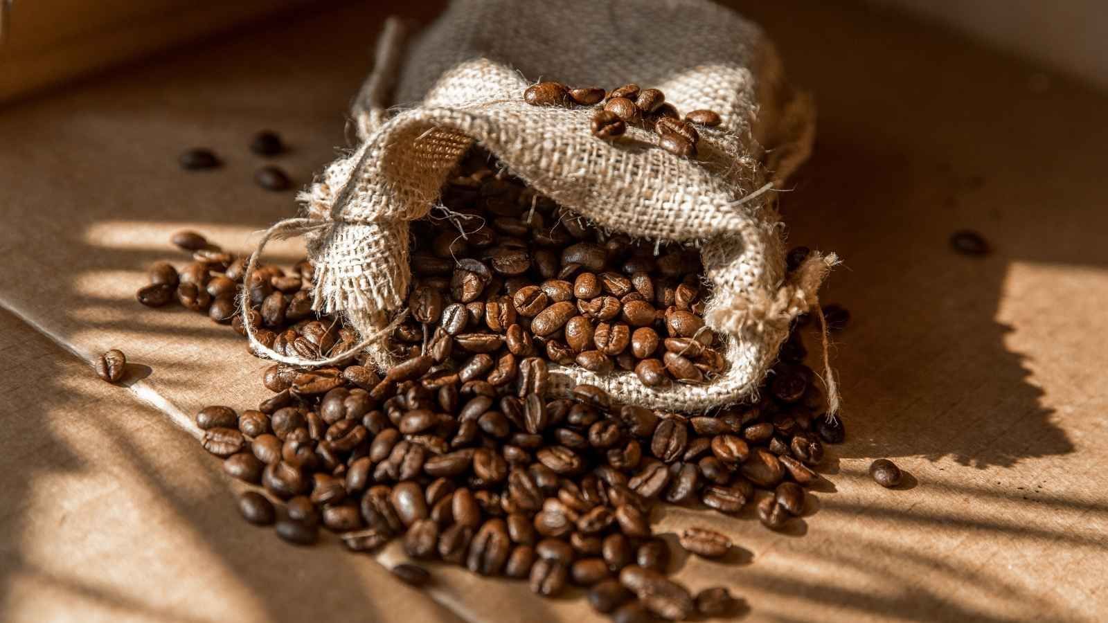 How to Make Caffeine Work for Your Brain Again