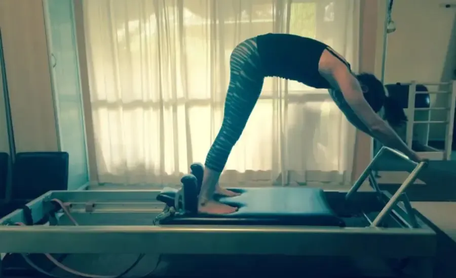 elephant reformer exercise