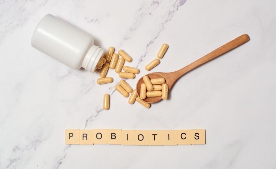 prebiotics for weight loss